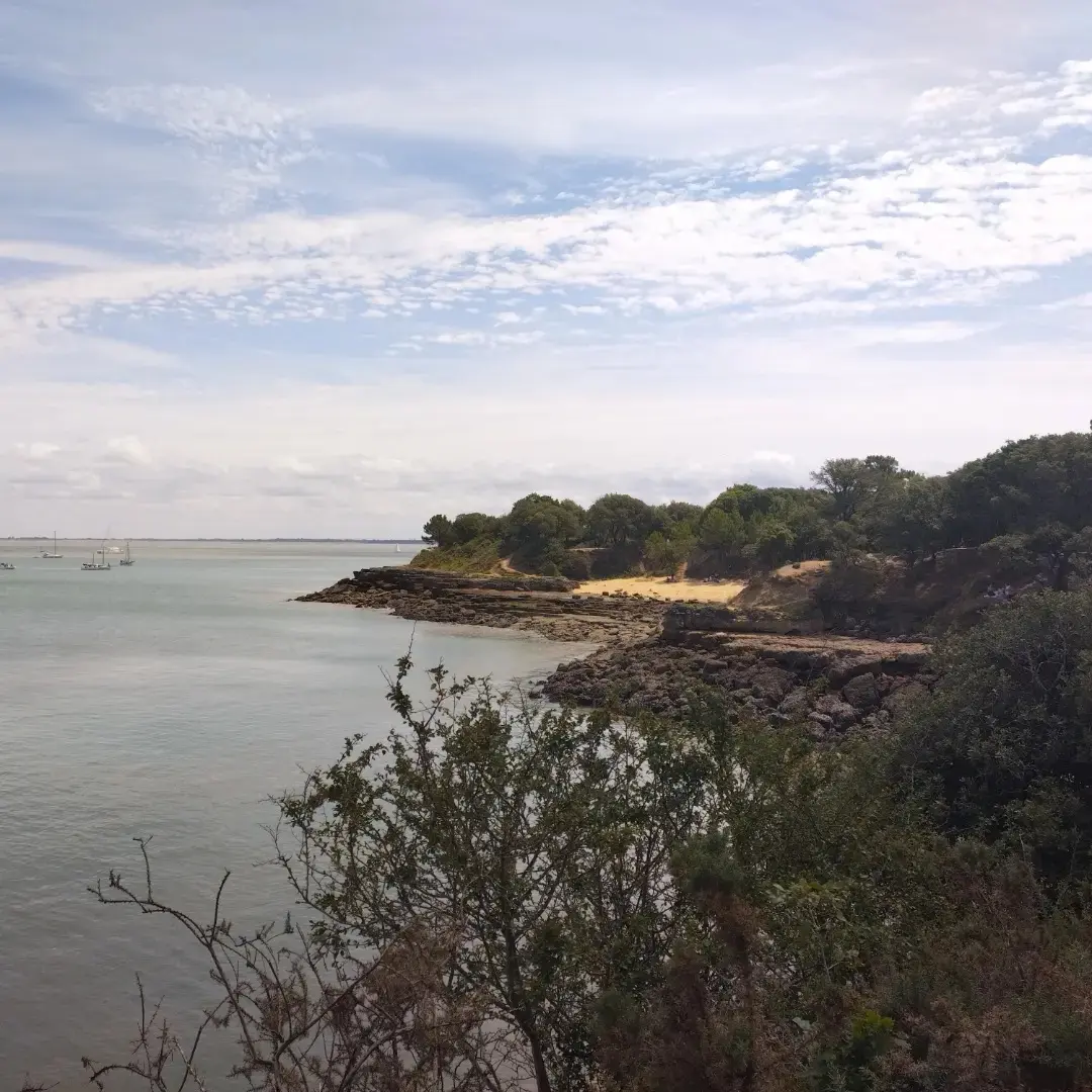 paysage des côtes de l'île d'aix